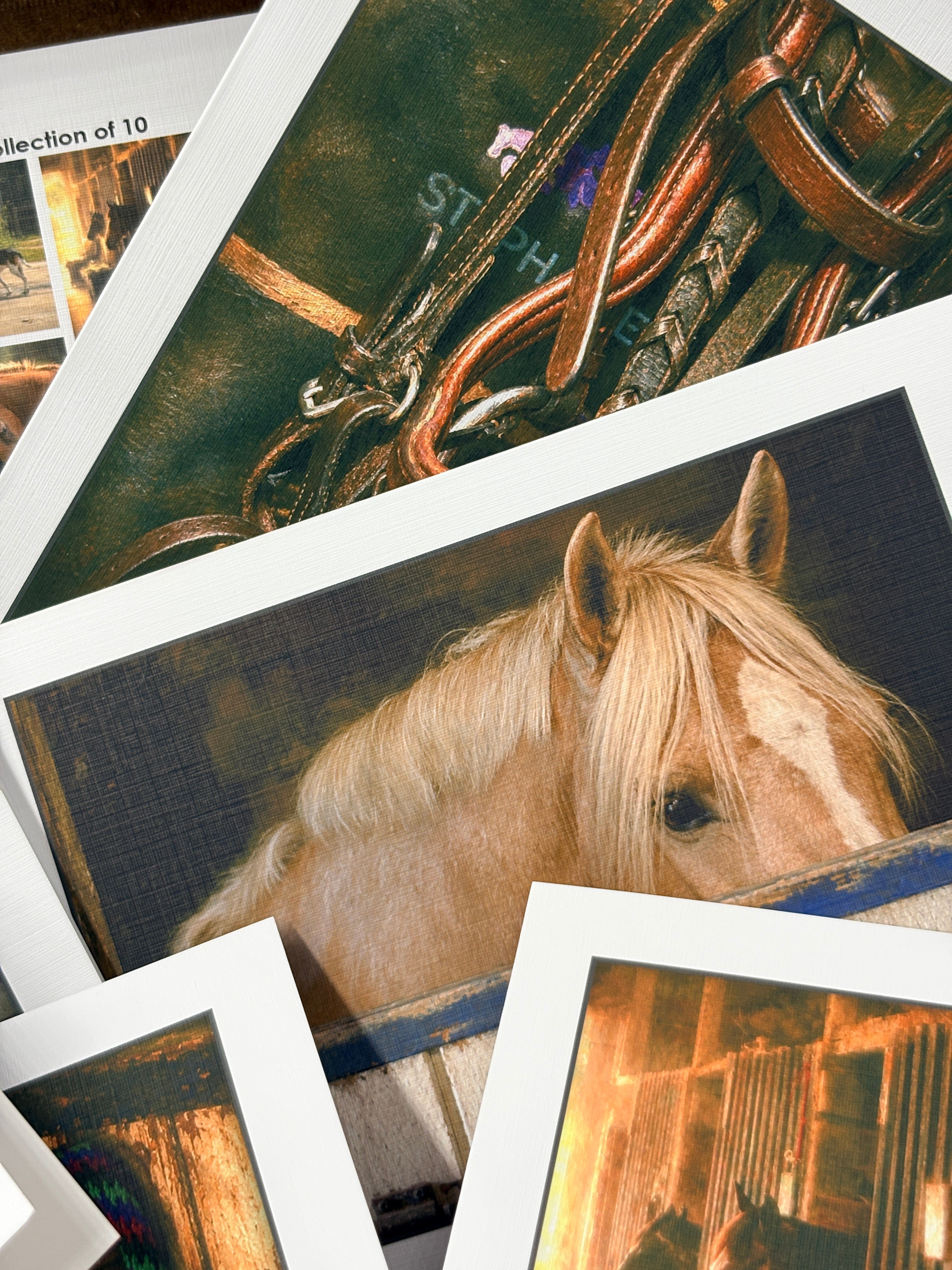 The Sporting Horse Fine-Art Linen Card Collection in Keepsake Box