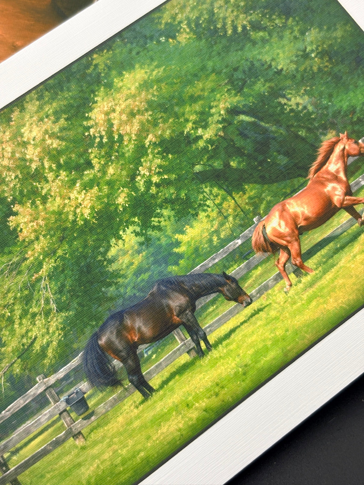 The Sporting Horse Fine-Art Linen Card Collection in Keepsake Box