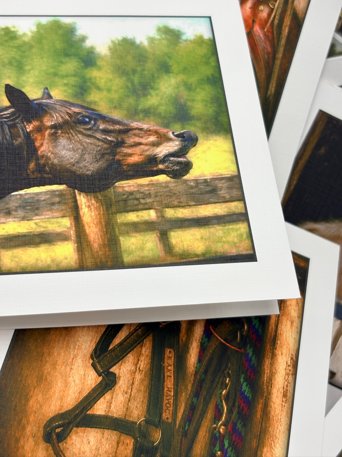 The Sporting Horse Fine-Art Linen Card Collection in Keepsake Box
