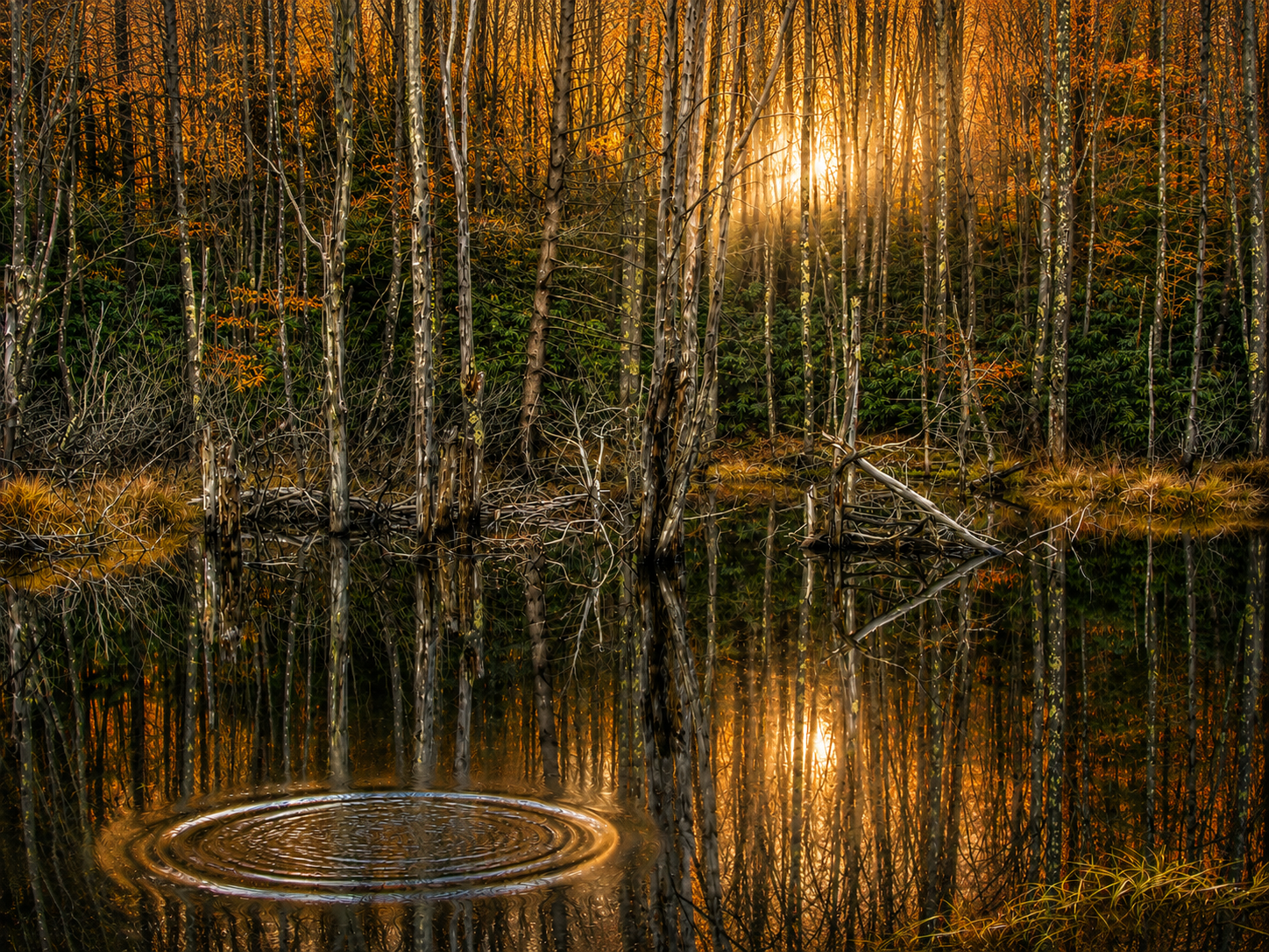 October Light | Fine Art Photography Notecards in Keepsake box
