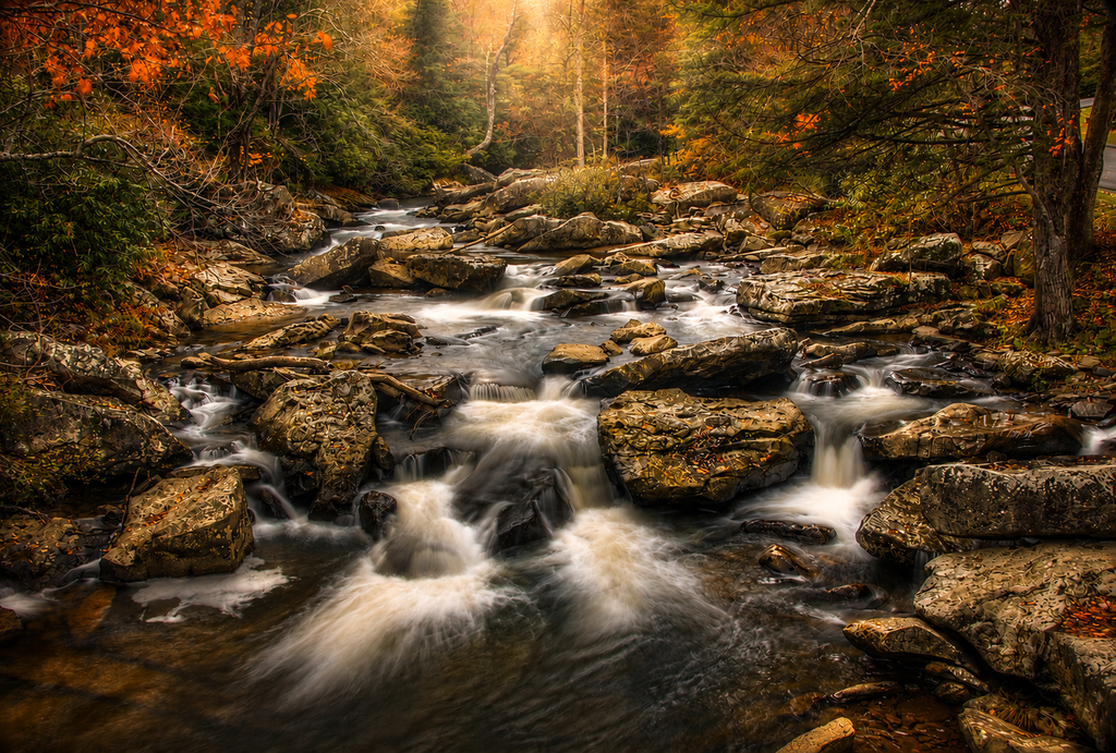 October Light | Fine Art Photography Notecards in Keepsake box