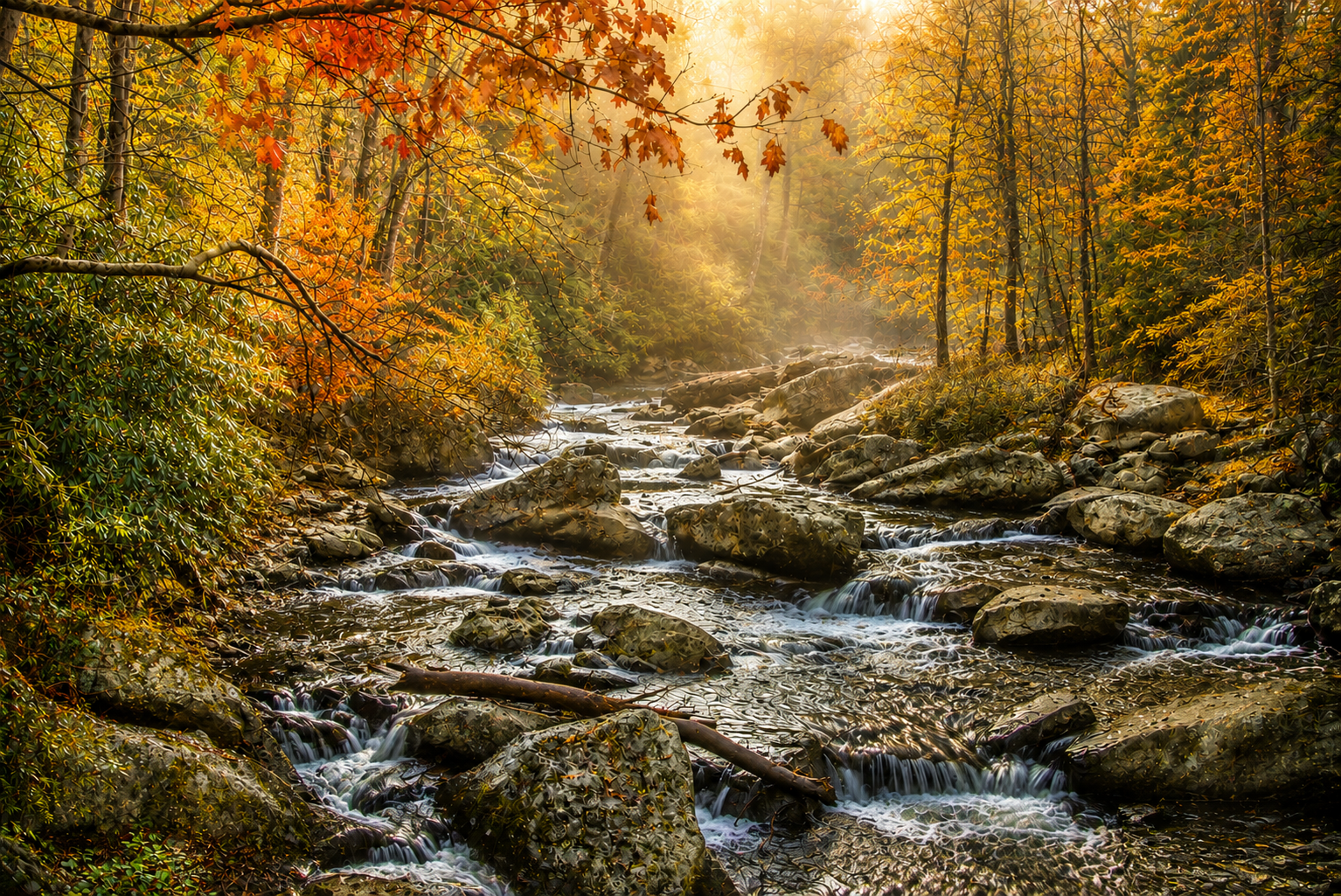 October Light | Fine Art Photography Notecards in Keepsake box