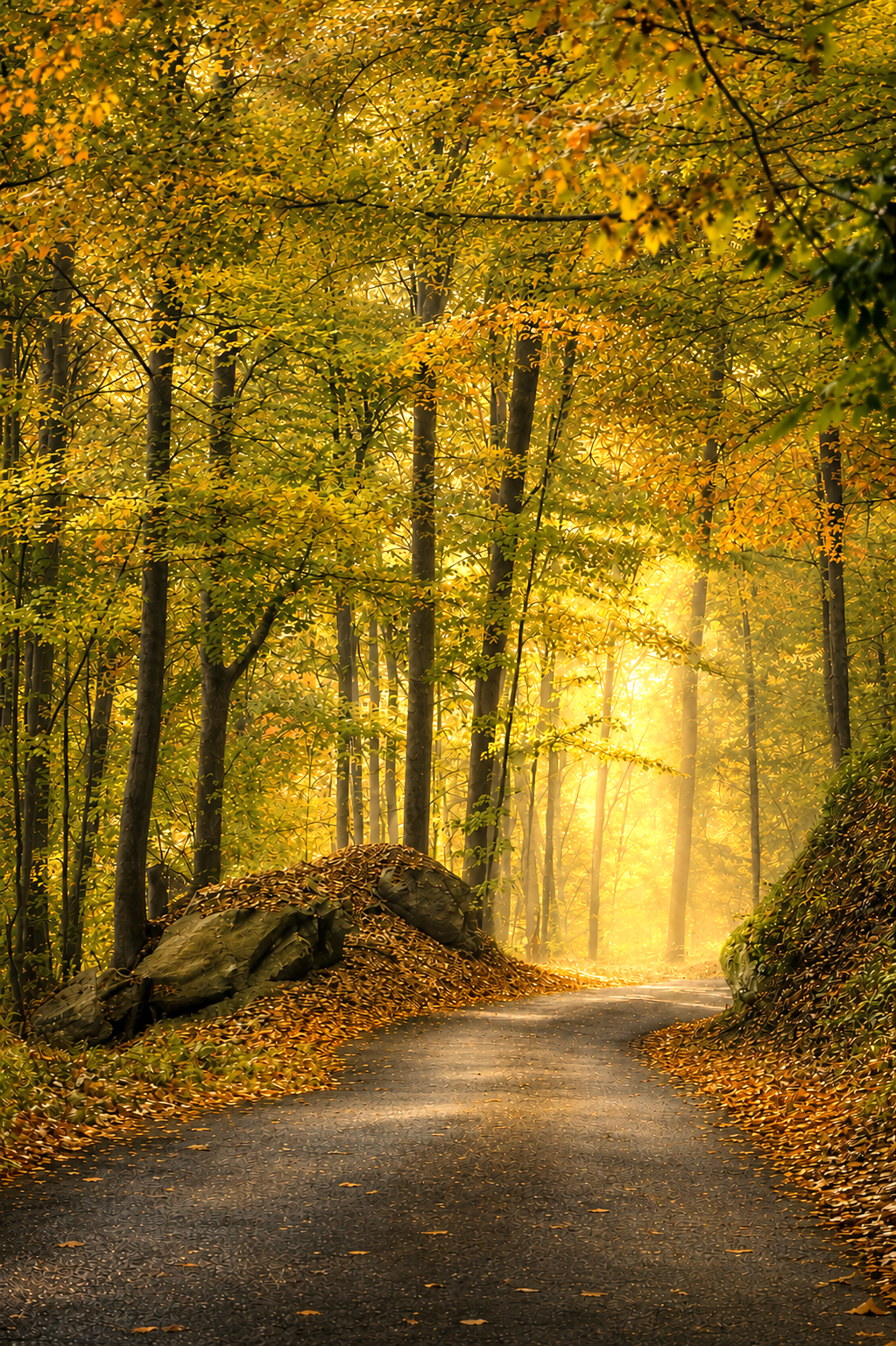 October Light | Fine Art Photography Notecards in Keepsake box