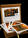 October Light | Fine Art Photography Notecards in Keepsake box