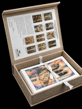 European Passageways Art Keepsake Notecard Collection | Handmade Linen Stationery | Original Photography