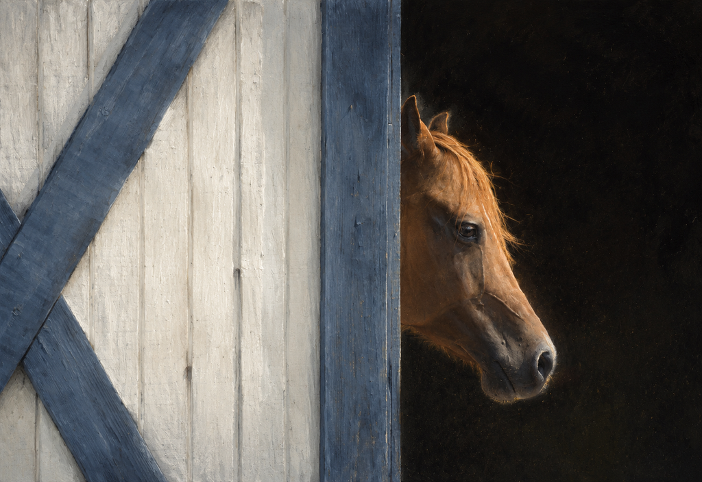 The Sporting Horse Fine-Art Linen Card Collection in Keepsake Box