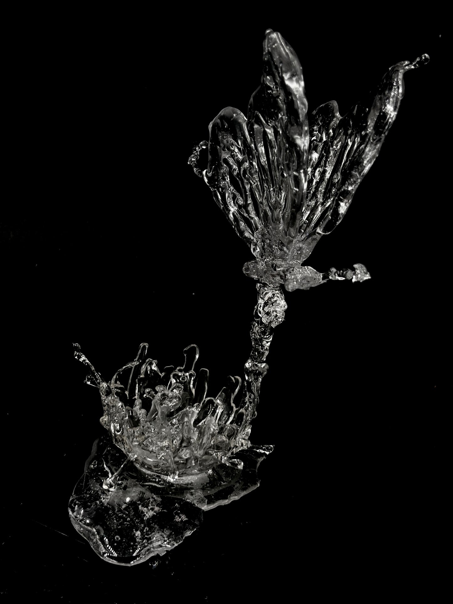 Butterfly resin splash sculpture