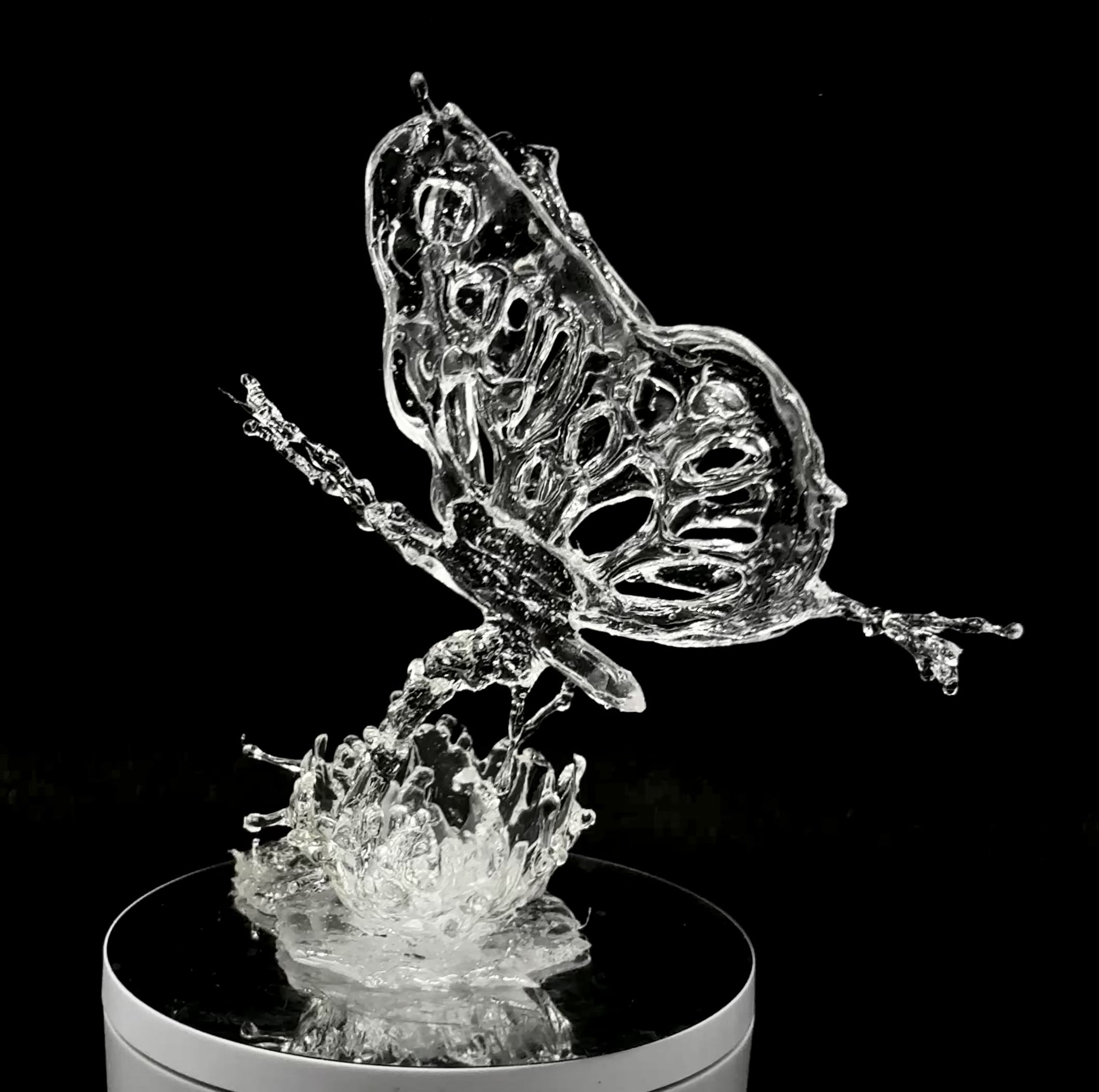 Butterfly resin splash sculpture